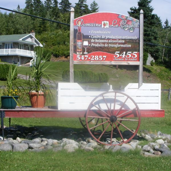 Domaine le cageaot vineyard -OTL Gouverneur Saguenay